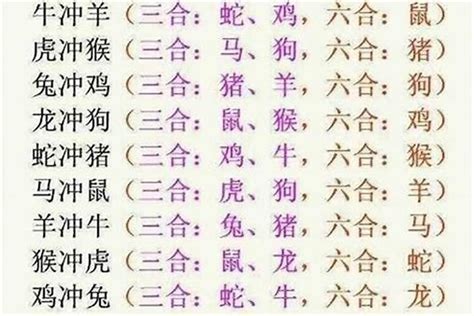 生肖 相沖|十二生肖貴人；三合 (相生)、六合 (相合)、三會、相沖 (六沖)、相。